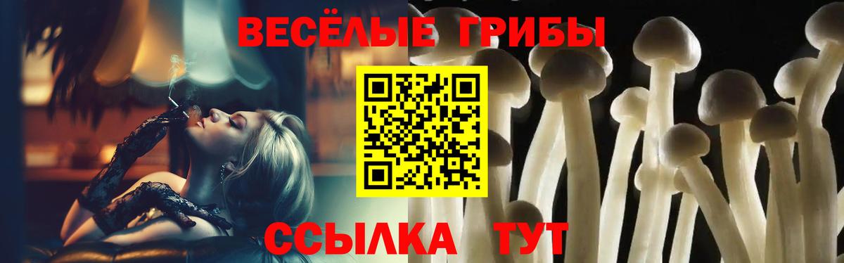 Нижнеудинск  закладка  Вход с VPN  Галлюциногенные грибы прущие грибы 